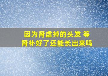 因为肾虚掉的头发 等肾补好了还能长出来吗